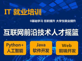 合肥编程热潮 IT培训助力多元化软件开发人才培养